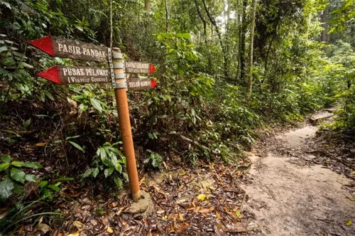 7. Vườn quốc gia Penang, Malaysia. 7. Vườn quốc gia Penang, Malaysia.