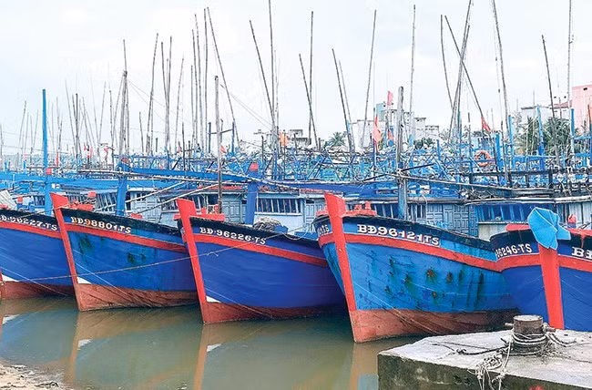 Xã Hoài Hải có đội tàu đánh bắt xa bờ công suất lớn với nhiều trang thiết bị hiện đại. Ảnh: N.T