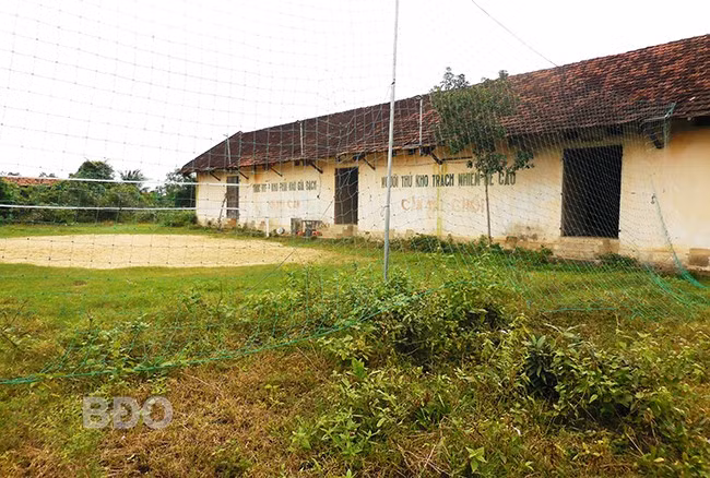 Khu đất Kho thóc cũ hiện bị cây dại, bụi gai bao phủ, chỉ một góc đất nhỏ được thanh niên tại địa phương tận dụng làm sân bóng chuyền. Ảnh: V.L