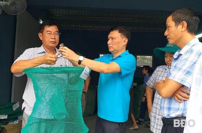 Tham quan thực địa mô hình tại cảng cá Quy Nhơn. Ảnh: Ái Trinh. Tham quan thực địa mô hình tại cảng cá Quy Nhơn. Ảnh: Ái Trinh.