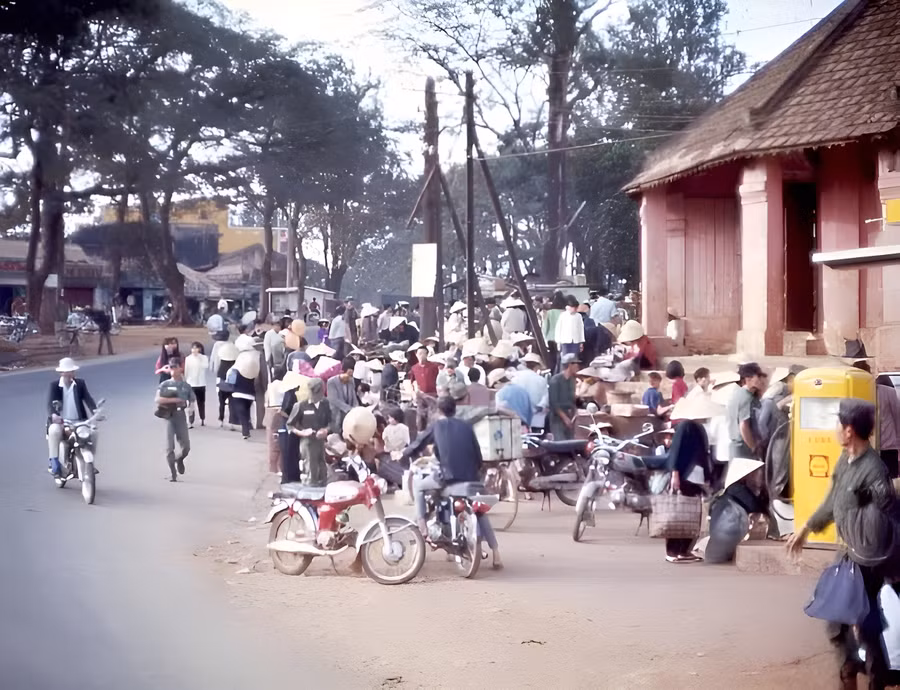 cay-xang-va-cho-troi-diep-kinh.jpg