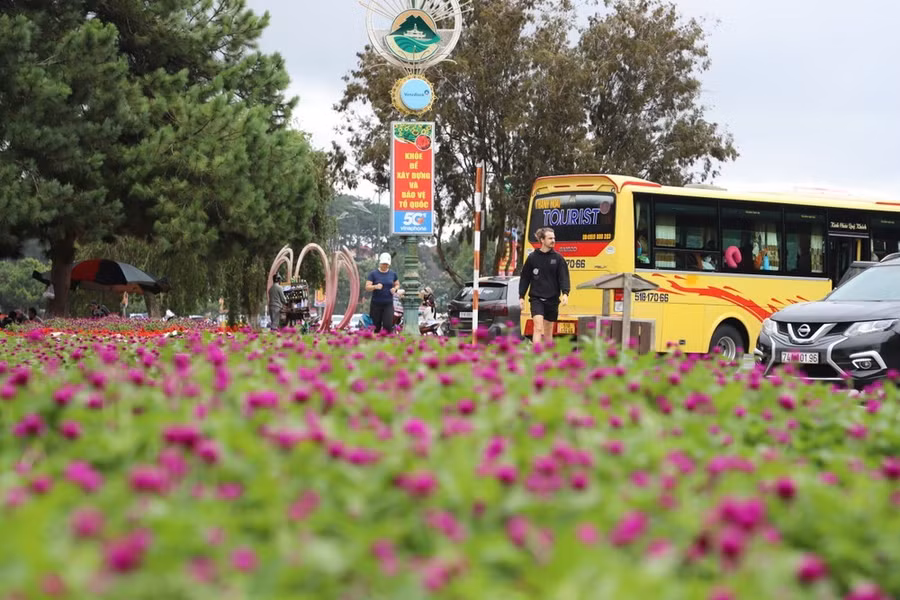 Có những người chỉ đơn giản đến Đà Lạt, đi dạo tìm lại cảm giác bình yên giữa những vườn hoa thơm ngát trong một buổi se lạnh
