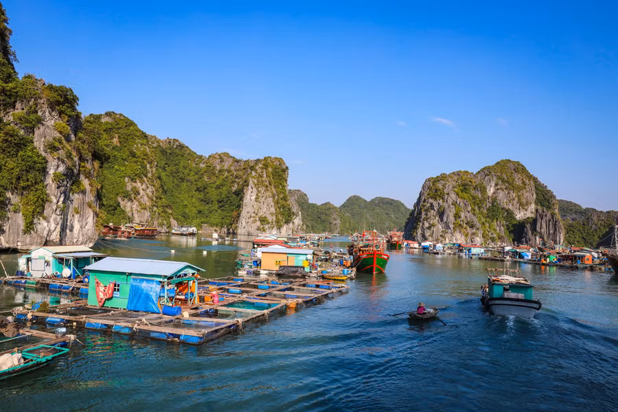 Cuộc sống trên vịnh Cát Bà
