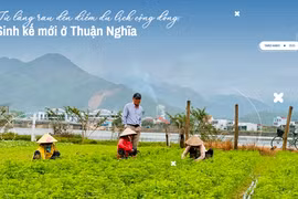 Từ làng rau đến điểm du lịch cộng đồng: Sinh kế mới ở Thuận Nghĩa.