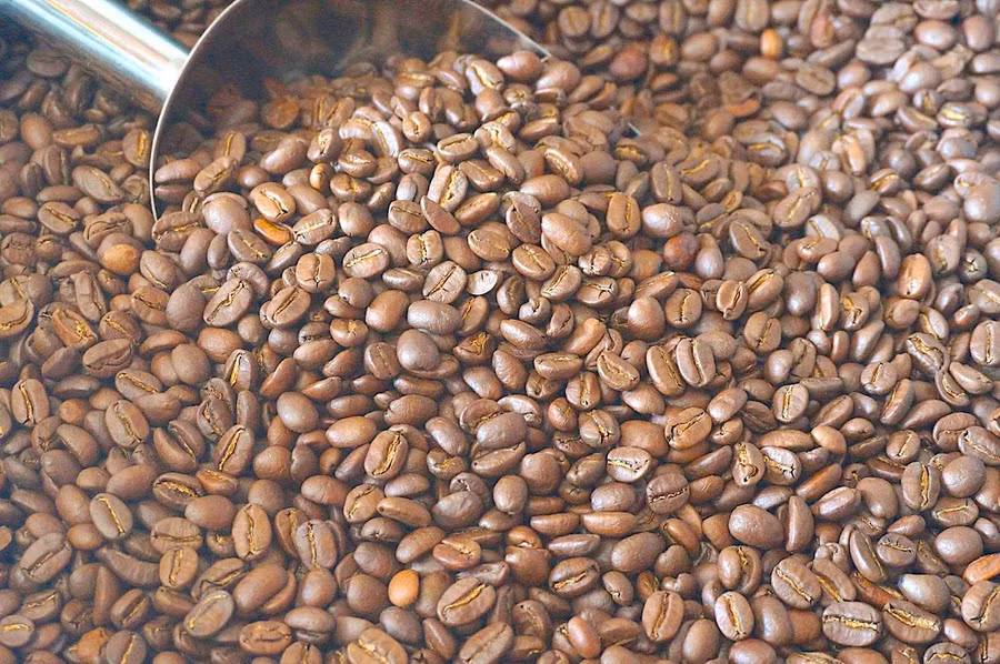 ngay-16-5-gia-ca-phe-noi-dia-dong-loat-giam-sau-1200-dongkg.jpg
