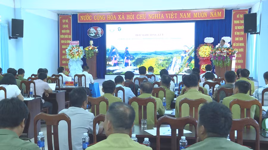 quang-canh-hoi-nghi.jpg