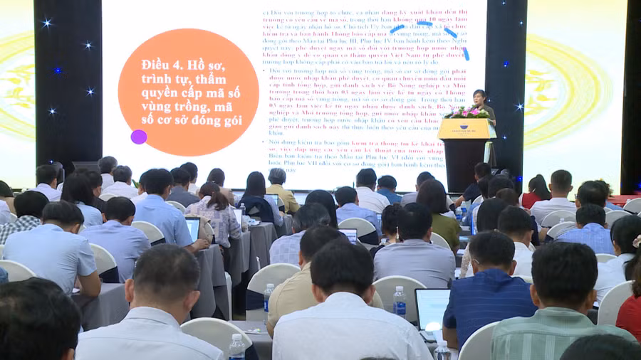 tap-huan-huong-dan-cong-tac-cap-va-quan-ly-ma-so-vung-trong-ma-so-co-so-dong-goi.jpg