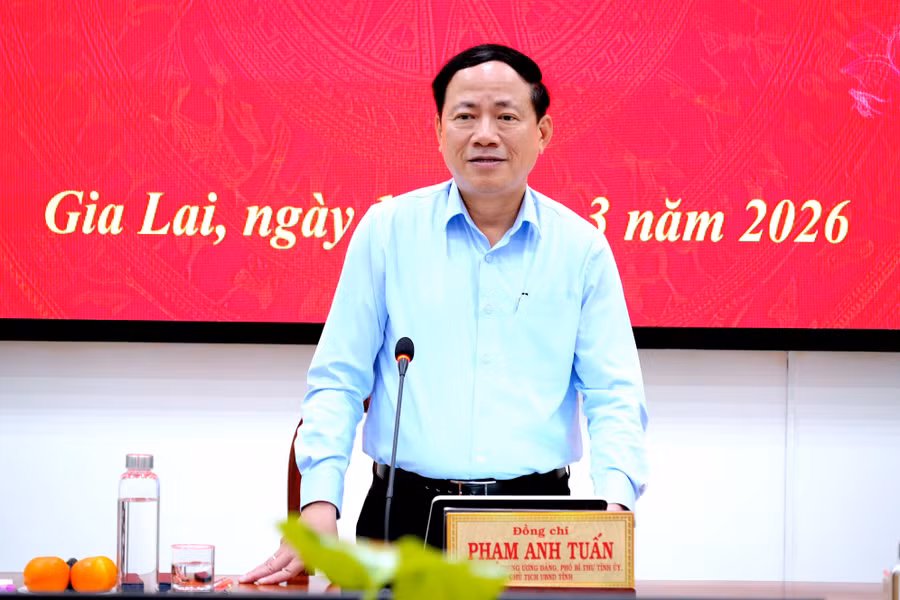 1-chu-tich-ubnd-tinh-pham-anh-tuan-phat-bieu.jpg