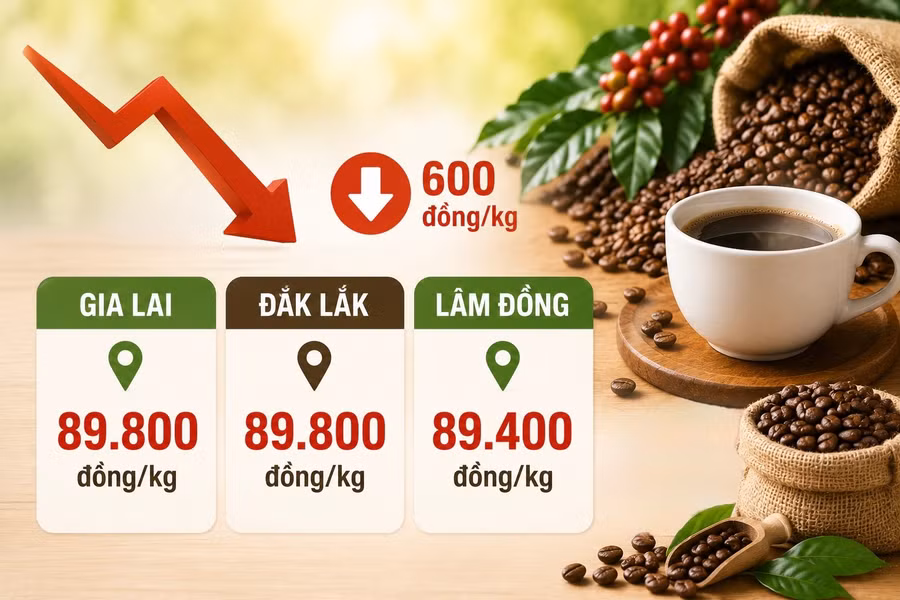 gia-ca-phe-trong-nuoc-28-6.jpg