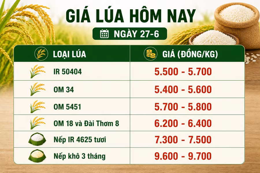 gia-lua-tuoi-27-6.png