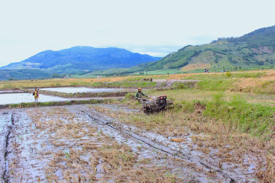 dong-suoi-ktung-theo-kenh-muong-thuy-loi-ve-lenh-lang-khap-canh-dong-de-bar-xa-to-tung-huyen-kbang-anh-hong-thuong.jpg