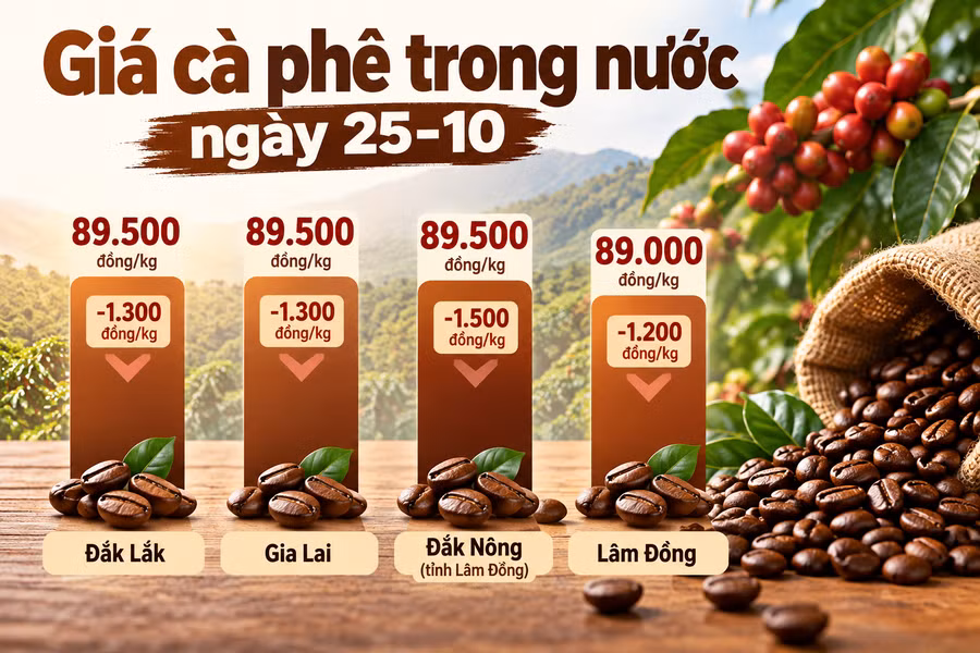 ca-phe-trong-nuoc-25.png