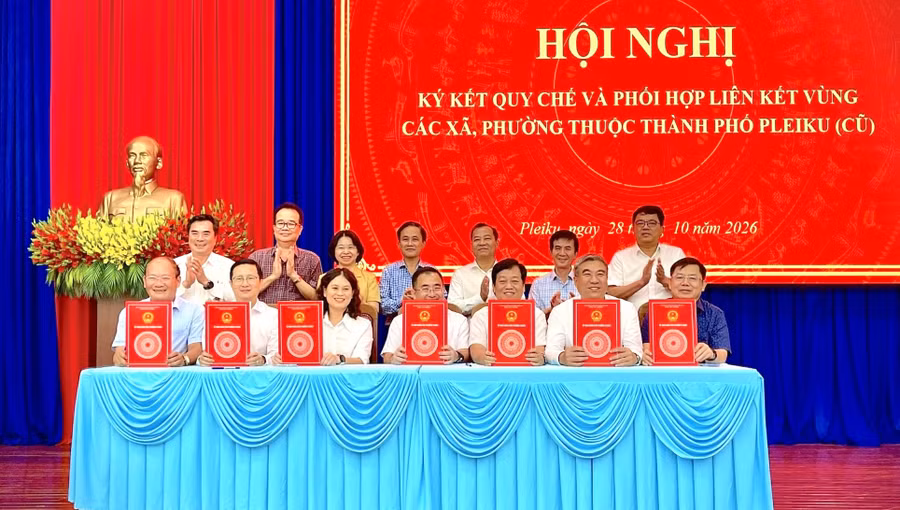 7-phuong-xa-lien-ket-phat-trien-khong-gian-do-thi-pleiku.jpg
