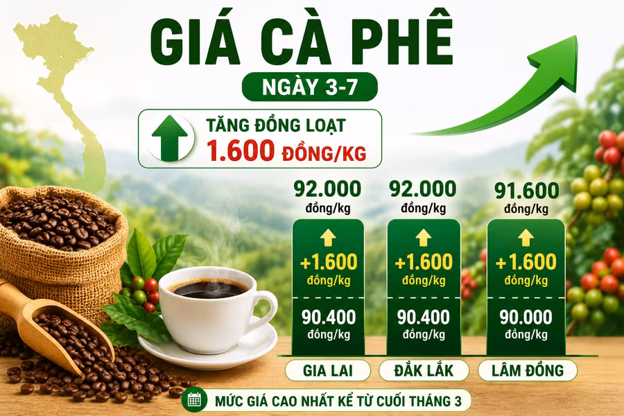 ca-phe-trong-nuoc-3-7.png