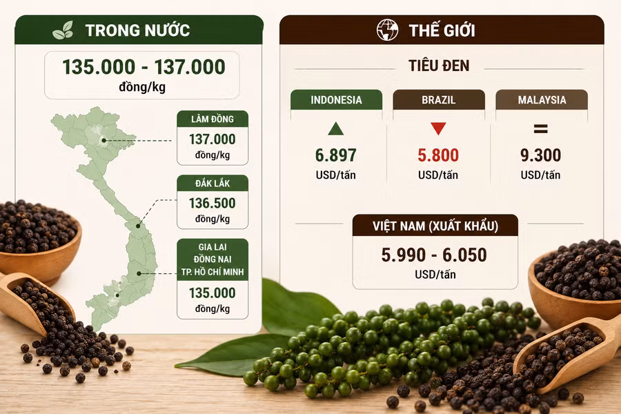 gia-ho-tieu-31-8.png