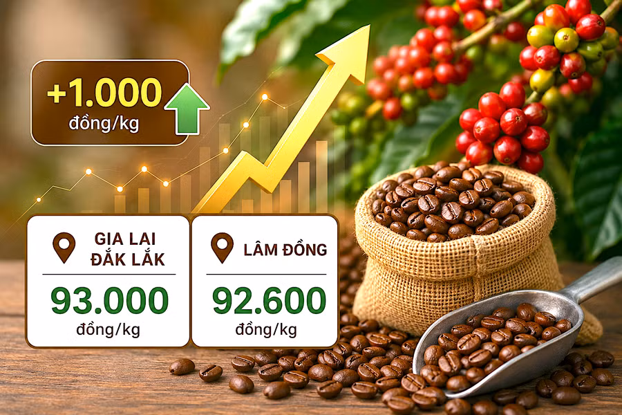 gia-ca-phe-trong-nuoc-4-7.png