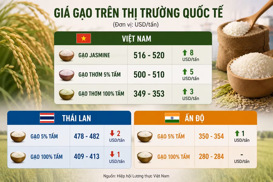 gao-xuat-khau-4-7.png