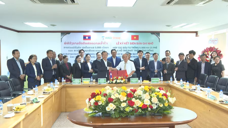 uy-ban-chinh-quyen-tinh-champasak-va-tap-doan-hoang-anh-gia-lai-ky-ket-bien-ban-ghi-nho-hop-tac-dau-tu-trong-5000-ha-ca-phe-va-ho-tro-phat-trien-cong-dong.jpg