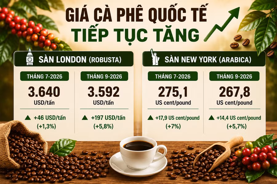 gia-ca-phe-the-gioi-ngay-23-6.png