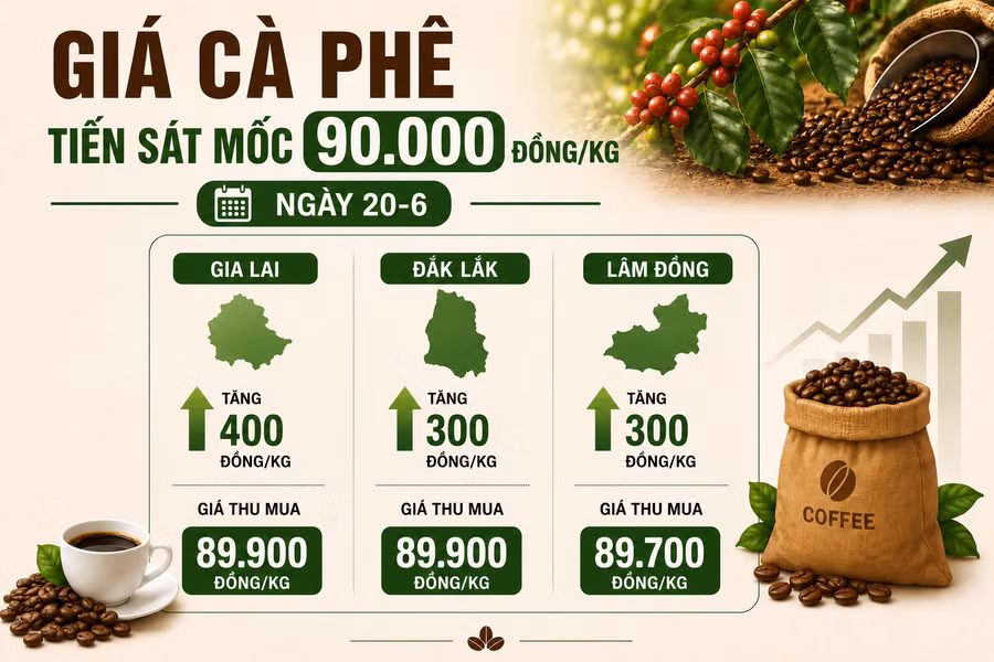 ngay-20-6-gia-ca-phe-tien-sat-moc-90000-dongkg.png