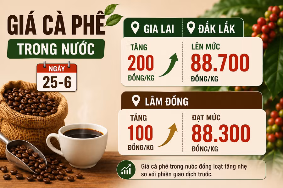 gia-ca-phe-trong-nuoc-25-6.png