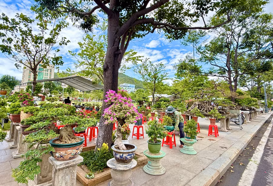 lien-hoan-trung-bay-trien-lam-hoi-thi-sinh-vat-canh-cap-tinh-mo-rong-lan-thu-ii.jpg