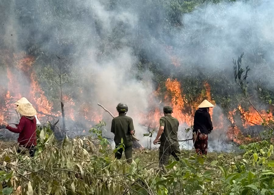 khong-che-dam-chay-rung-keo-tai-deo-cay-coc.jpg