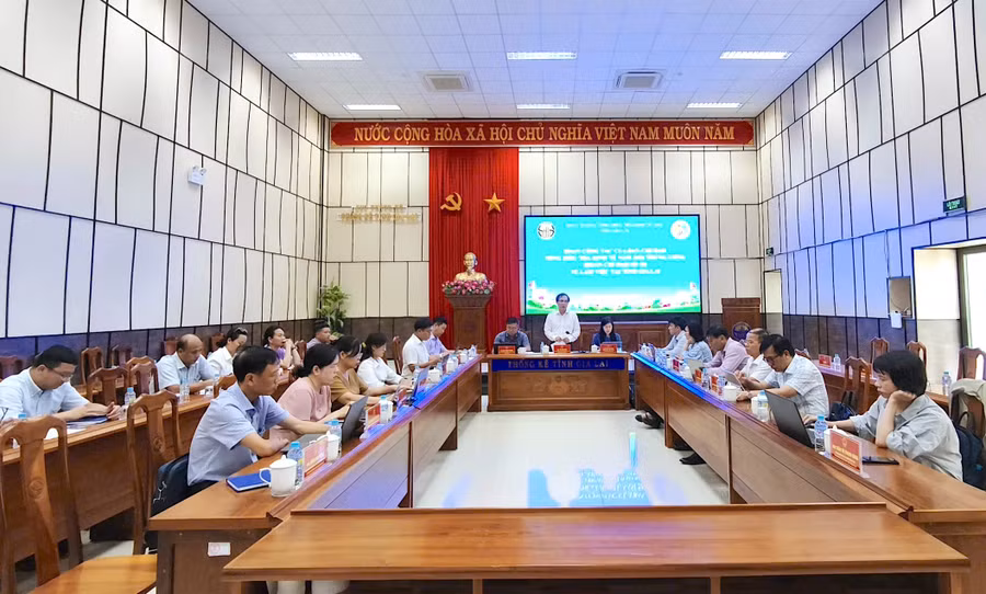 gia-lai-can-dat-muc-tieu-chat-luong-du-lieu-cuoc-tong-dieu-tra-kinh-te-len-hang-dau-8368.jpg