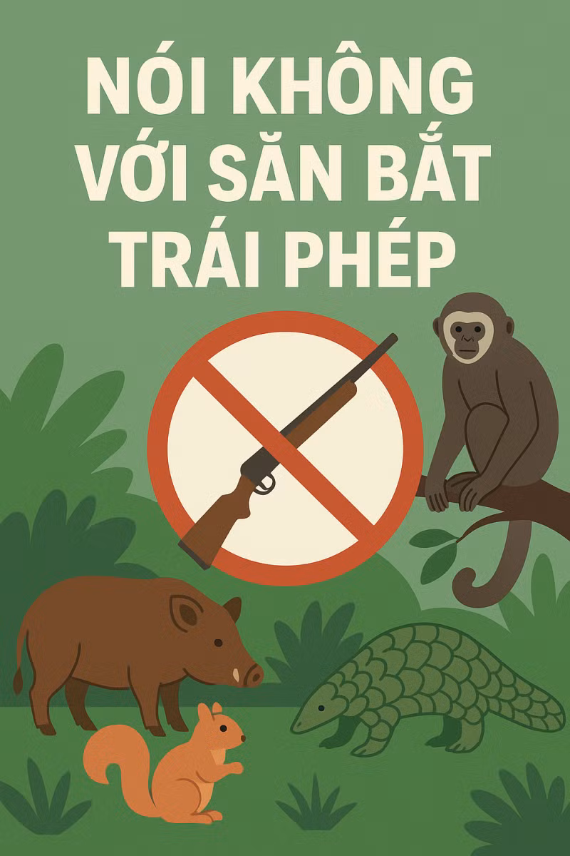 khong-san-bat-trai-phep.png