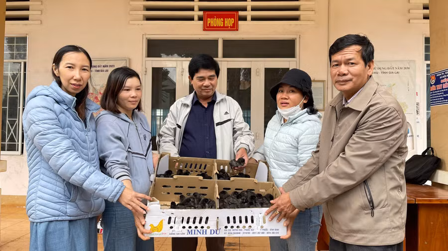 anh-2-4.jpg