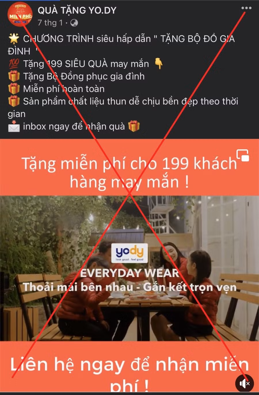 yody.jpg
