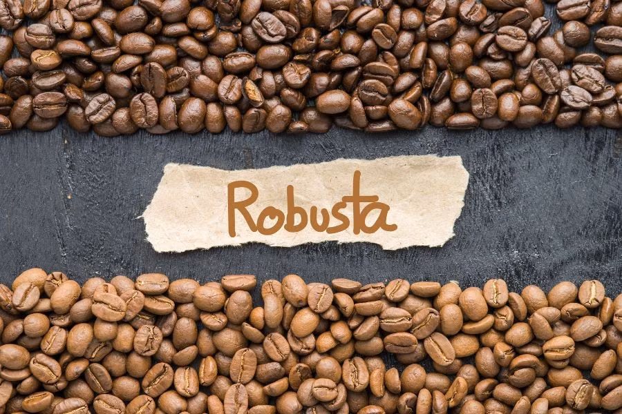 gia-ca-phe-robusta-cap-nhat-moi-nhat-tai-gia-lai-illqb.jpg