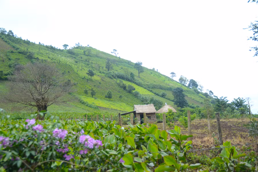 mot-goc-duoi-chan-nui-duoc-nguoi-dan-dung-nha-vach-dat-lop-tranh-de-phuc-vu-du-khach-check-in-4296.jpg