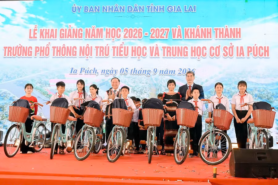 1788573053993-699168165195915407-g6388224068871054747-8f9f604f5bfa0e1c702d990209e74d0b.jpg