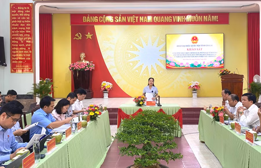 quang-canh-buoi-lam-viec-tai-phuong-hoai-nhon-tay.jpg