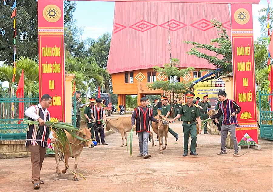 nguoi-dan-2-xa-ia-chia-va-ia-dok-phan-khoi-nhan-bo-giong-dua-ve-nha.jpg