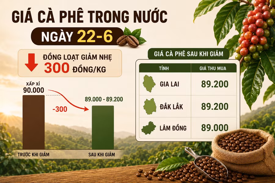 gia-ca-phe-trong-nuoc-ngay-22-6.png