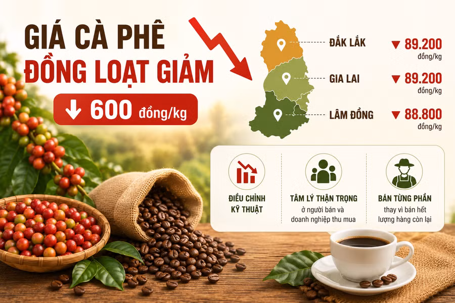 gia-ca-phe-trong-nuoc.png