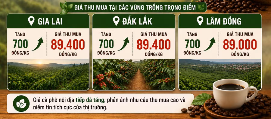 gia-ca-phe-noi-dia-26-6.png