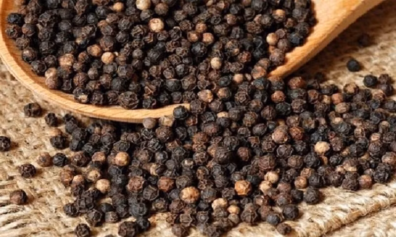 Giá hạt tiêu trong nước dao động trong khoảng 149.500-151.000 đồng/kg. Ảnh: Internet