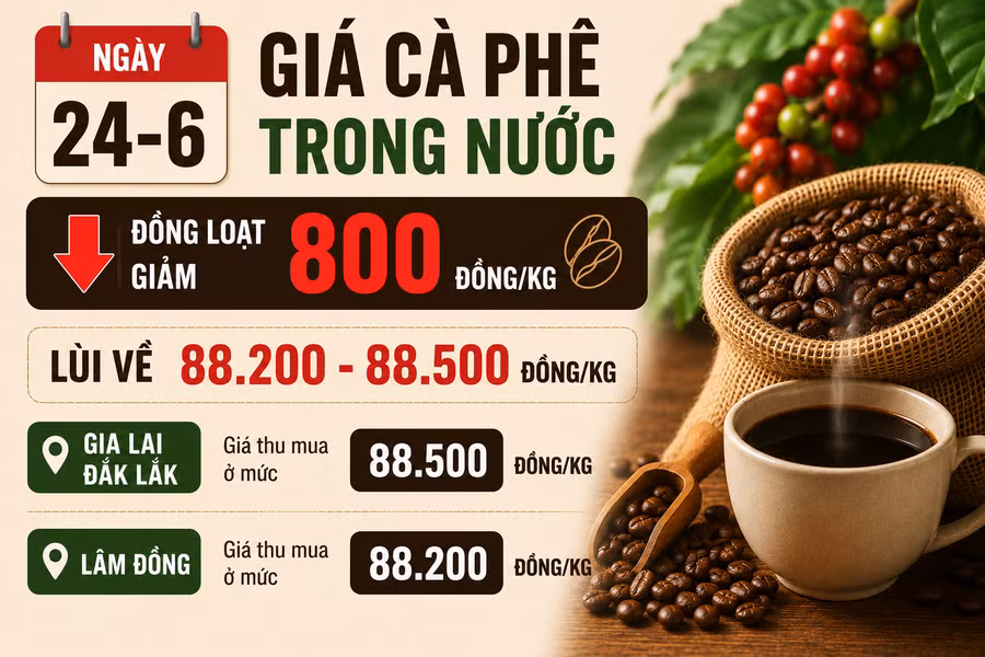 gia-ca-phe-trong-nuoc-24-6.png