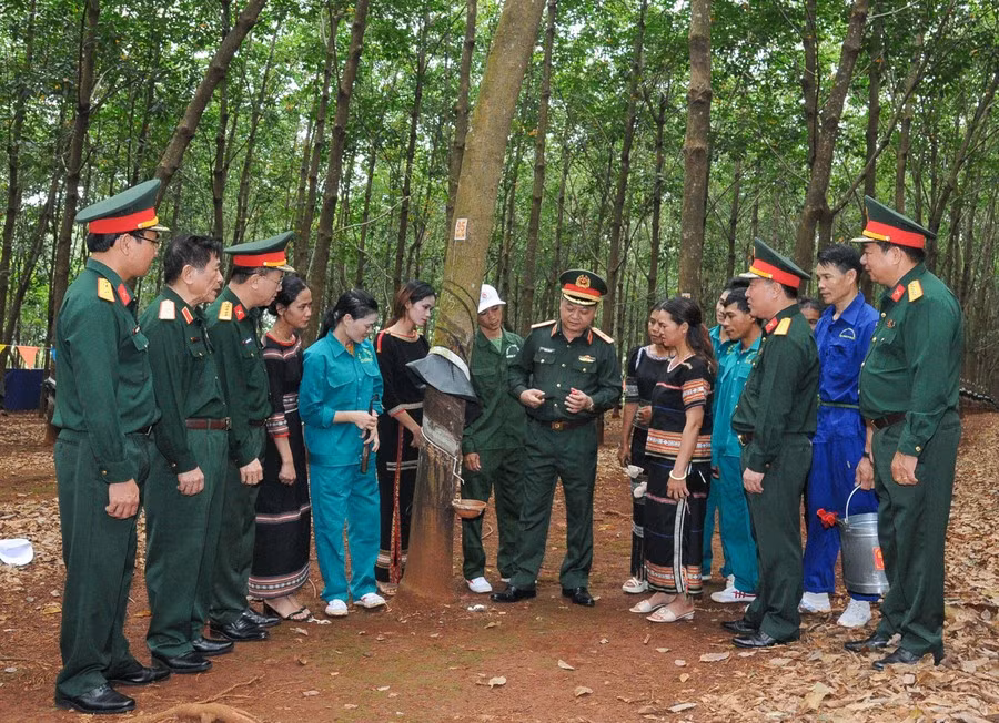 tu-lenh-binh-doan-15-kiem-tra-cong-nhan-cao-mu.jpg