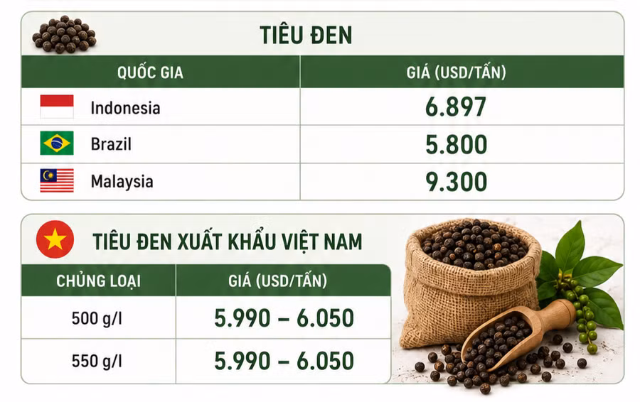 ho-tieu-quoc-te-2-9-9922.png