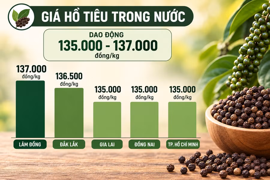 gia-ho-tieu-1-9.png