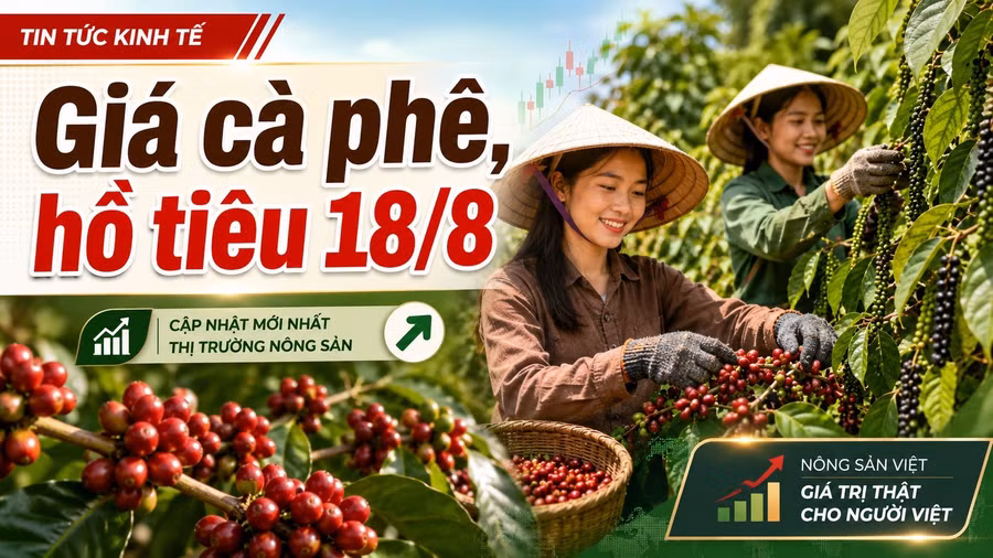 gia-ca-phe-ho-tieu-hom-nay-18-8-2026.jpg