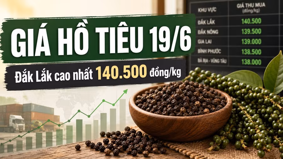 gia-ho-tieu-hom-nay-19-6-2026-8768.jpg