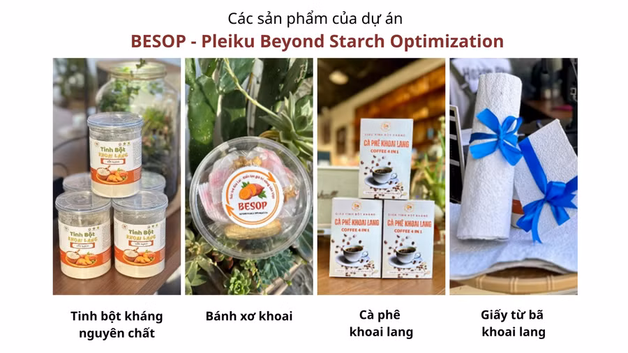 cac-san-pham-cua-du-an-besop-pleiku-beyond-starch-optimization.png