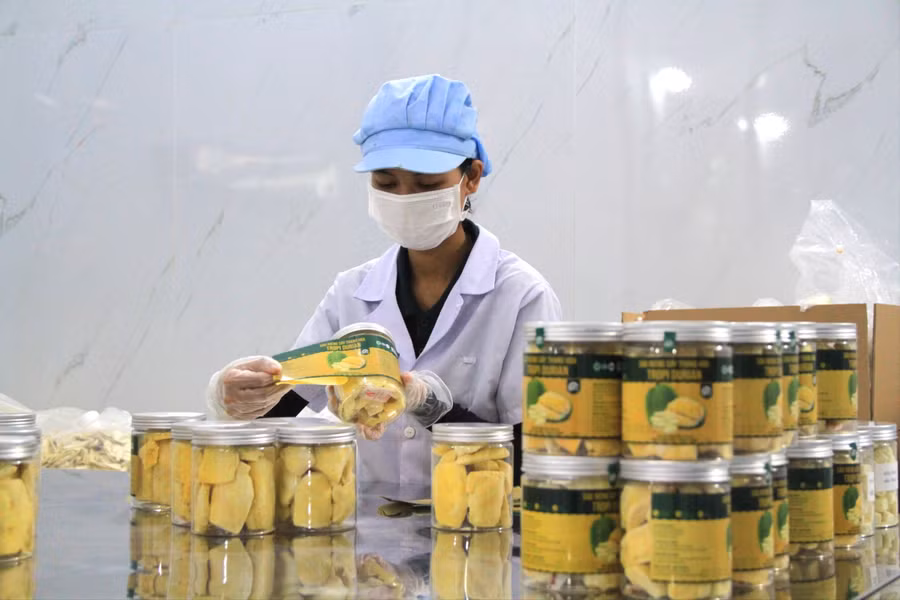san-pham-sau-rieng-say-tropi-durian-giu-nguyen-hinh-dang-mui-vi-va-mau-sac-tu-nhien-sau-qua-trinh-che-bien-anh-hoang-hoai-6948.jpg
