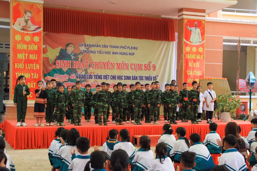 47a3c0fc5294e2cabb852.jpg