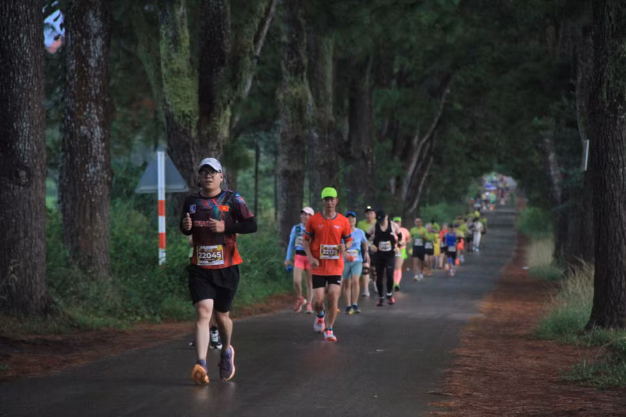 hang-thong-tram-tuoi-duoc-nhieu-chan-chay-cu-ly-21km-dung-lai-check-in-anh-hh.jpg